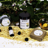 lughnasadh fragrance a bar of soap two sizes of soy wax candles and a diffuser oil bottle from brigid trading company all scented with blackberry fresh oats and honey arranged on a natural backdrop of fresh blackberries oatstraws and a wooden honey dipper