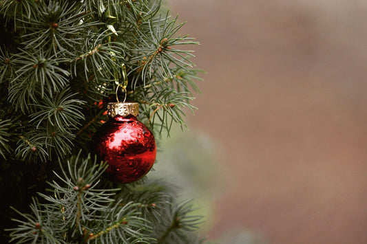 red ornament hangs from christmas tree branch brigid trading company yule yuletide christmas holidays photo attribution tantetati on pixabay