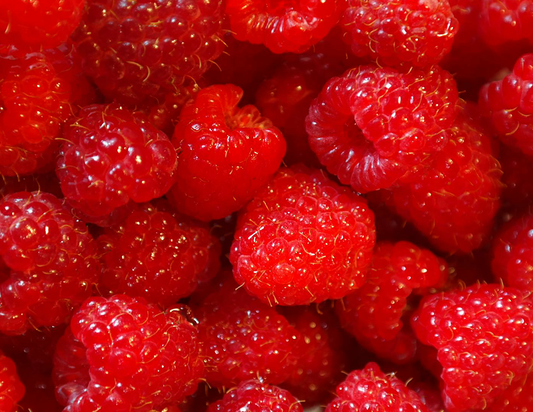 red raspberries close up for blog by brigid trading company llc red raspberry seed oil information spf sunblock health information for topical use