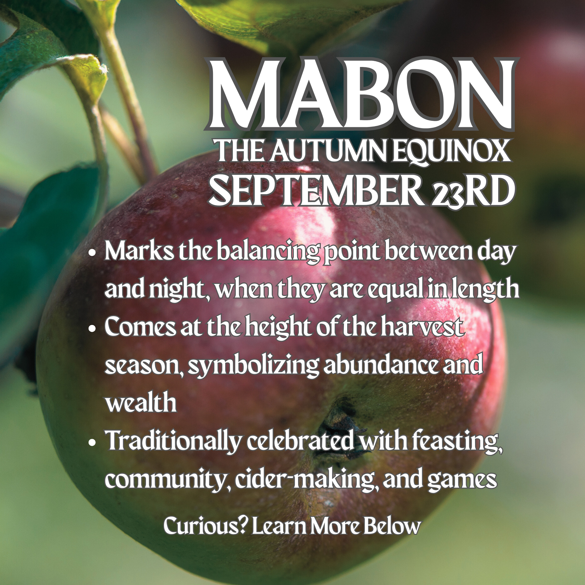 mabon by brigid trading company text about mabon over a graphic of ripe apples autumn equinox september 23rd harvest holiday equal night and day abundance cider games