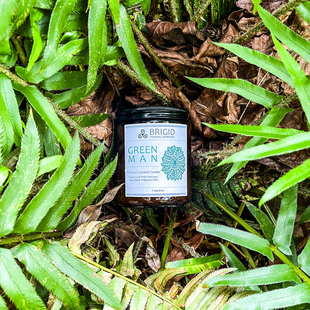 green man candles 7oz outside shoot glass jar original rainforest fresh scent with moss rainwater warm woods and musk celtic candles soy wax premium made in washington state hand made shown pictured with western sword fern