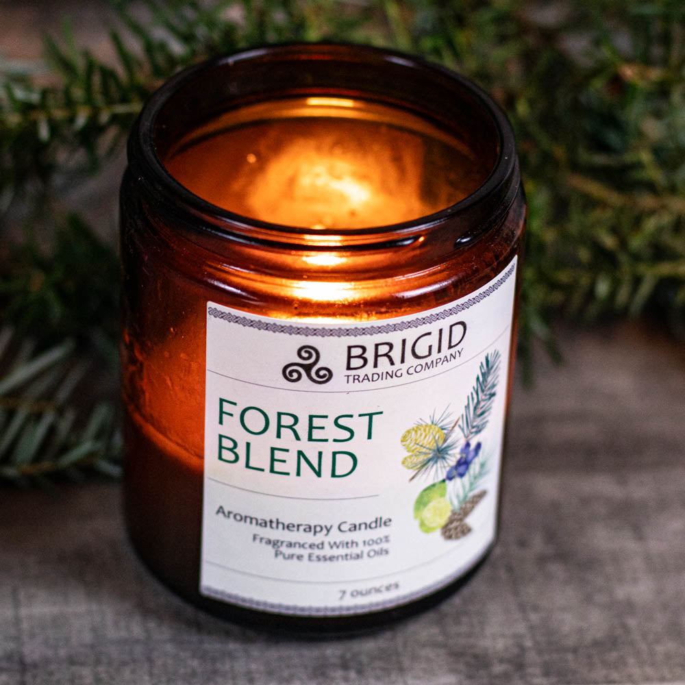 forest blend aromatherapy candle soy wax by brigid trading company celtic theme candles gift halfway burned showing amber glass glow seven ounce candle fragranced with essential oils natural hand made small business independent