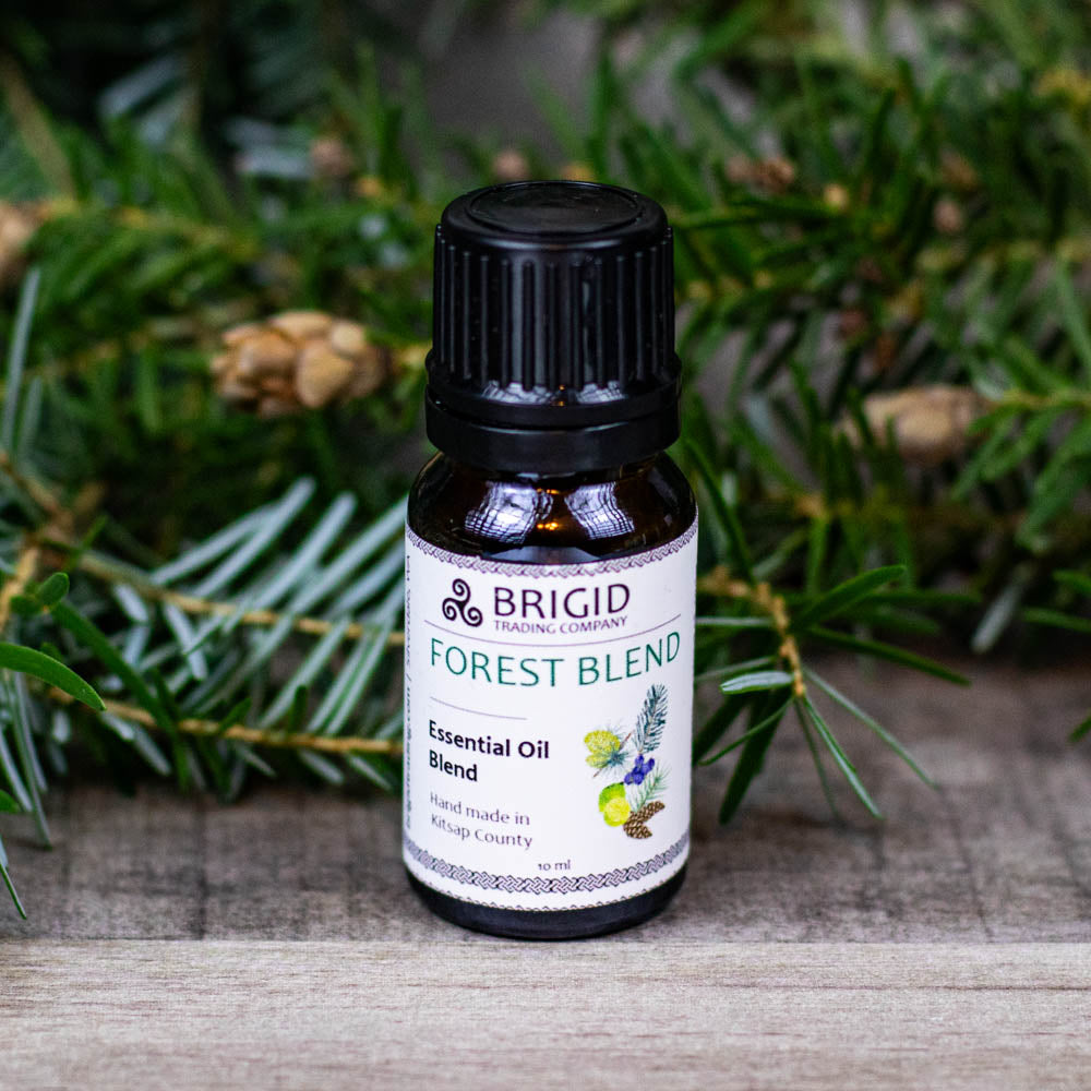 forest blend diffuser oil essential oil blend aromatherapy balsam cedar pine lime juniper scent warm koselig scents for home hygge home warm cottagecore made in washington state by brigid trading company llc