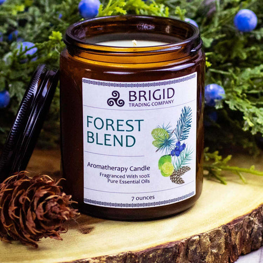 forest blend candle 7 ounce jar with pine balsam lime juniper berry detail lifestyle shot forest pinecones soy wax all natural essential oils by brigid trading company llc kitsap county washington state united states lose up main product image