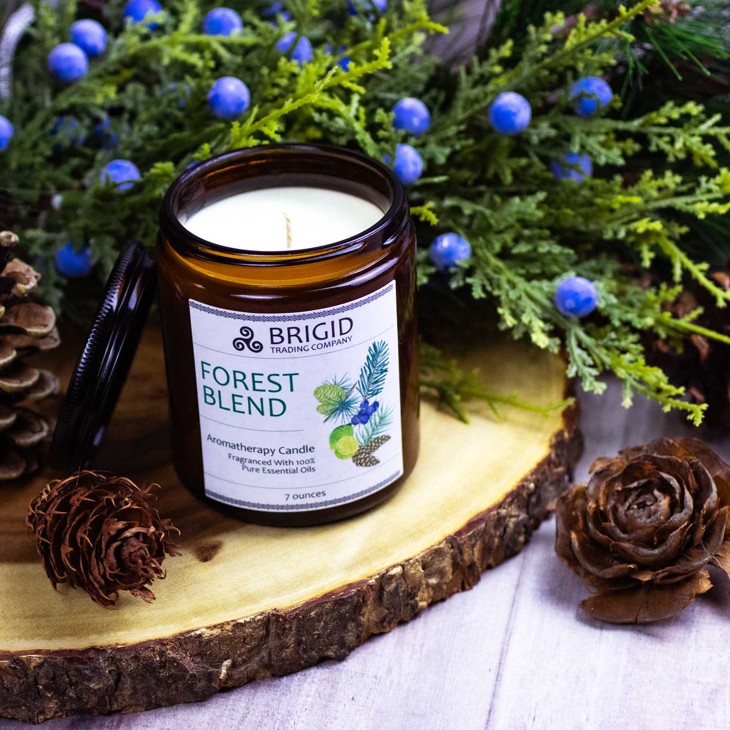 forest blend soy wax aromatherapy candle with essential oils balsam pine juniper berry lime forest shot juniper in the background and pinecones with pine detail and wood cut platform warm feeling and cozy cabin vibe