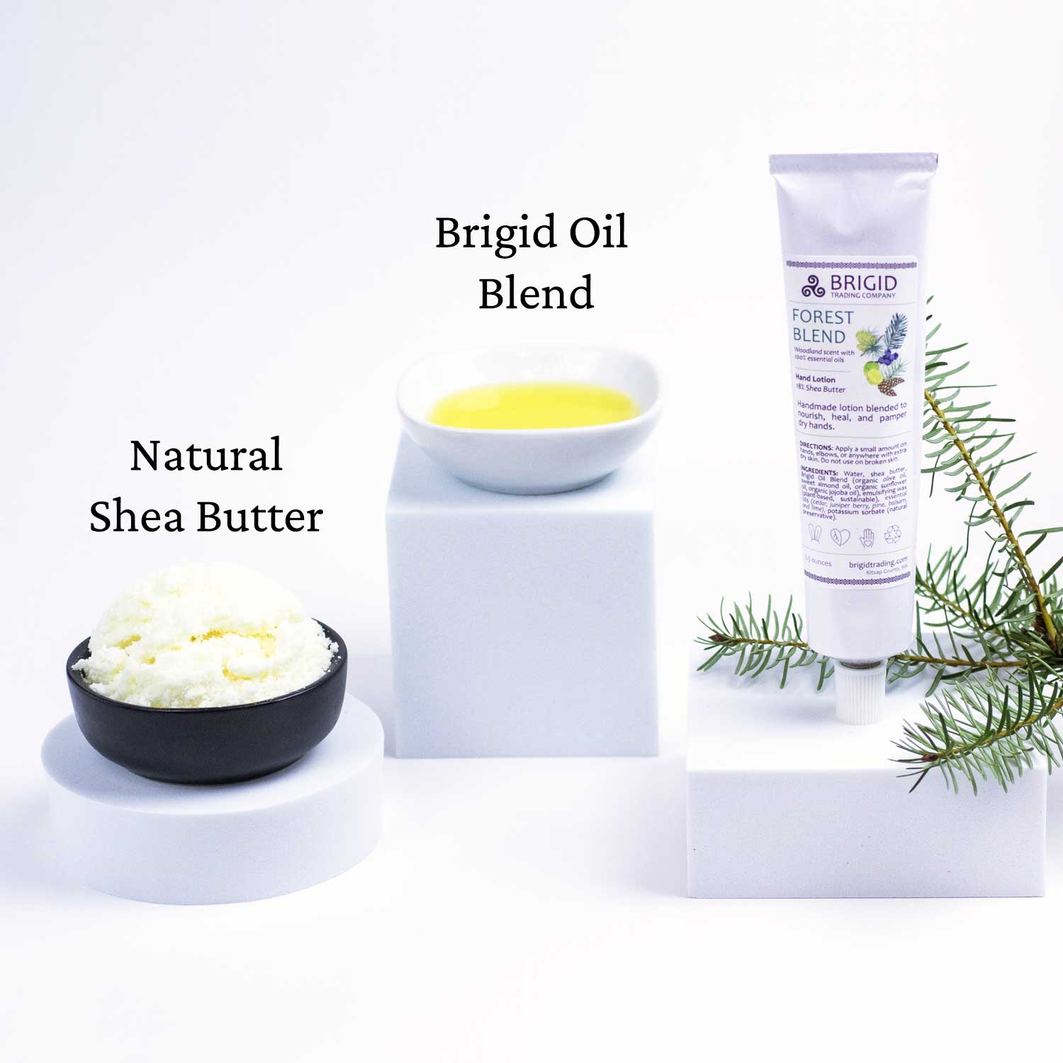 natural shea butter brigid oil blend and brigid forest blend hand lotion tube on white background with white risers and pine prop original photography by brigid trading company llc washington state