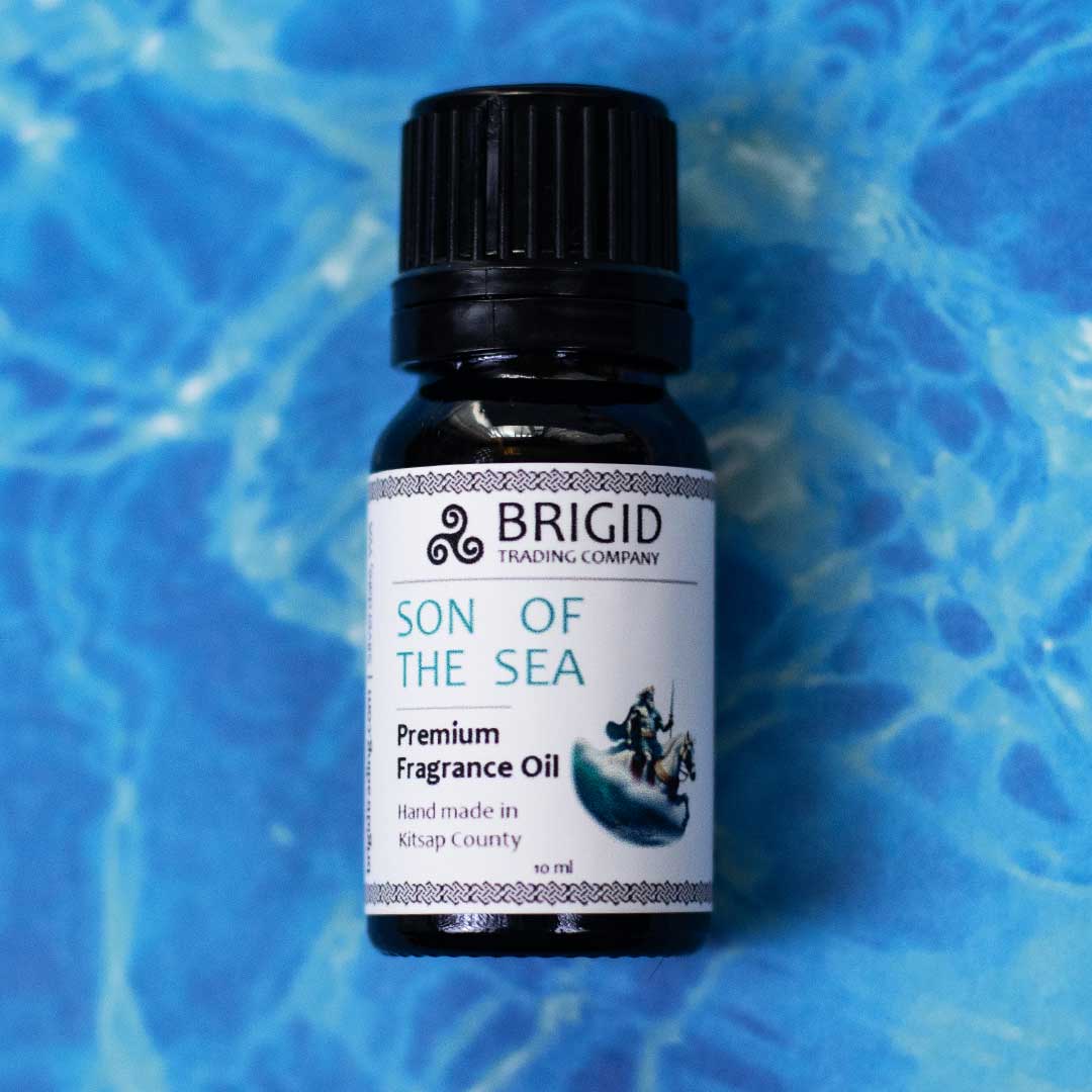 son of the sea ocean mist and leather premium fragrance oil handmade in kitsap county washington state usa oil for home diffuser humidifier bedside winter dry air fun scent